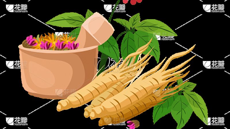 按摩器批发价格含运费：揭秘按摩器选购的三大关键因素